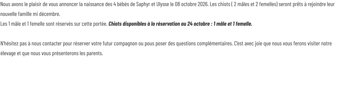 Nous avons le plaisir de vous annoncer la naissance des 4 bébés de Saphyr et Ulysse le 08 octobre 2026. Les chiots ( 2 mâles et 2 femelles) seront prêts à rejoindre leur nouvelle famille mi décembre. Les 1 mâle et 1 femelle sont réservés sur cette portée. Chiots disponibles à la réservation au 24 octobre : 1 mâle et 1 femelle.  N’hésitez pas à nous contacter pour réserver votre futur compagnon ou pous poser des questions complémentaires. C’est avec joie que nous vous ferons visiter notre élevage et que nous vous présenterons les parents.